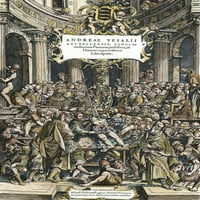 Заглавна страница на Vesalius Teaching Anatomy Nwoodcut до второто издание на Andreas Vesalius de Humani Corporis Fabrica, публикувано в Basel Switzerland Poster Print от Granger Collection