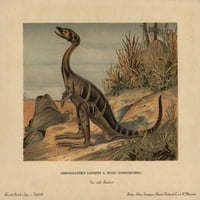 Compsognathus longipes, изчезнал малък, бипедален отпечатък от плакати от ® Флорилегий Мери Еванс