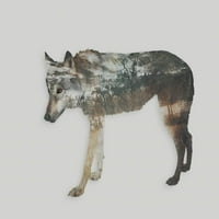 Печат на нордичен вълк - Андреа Хааз